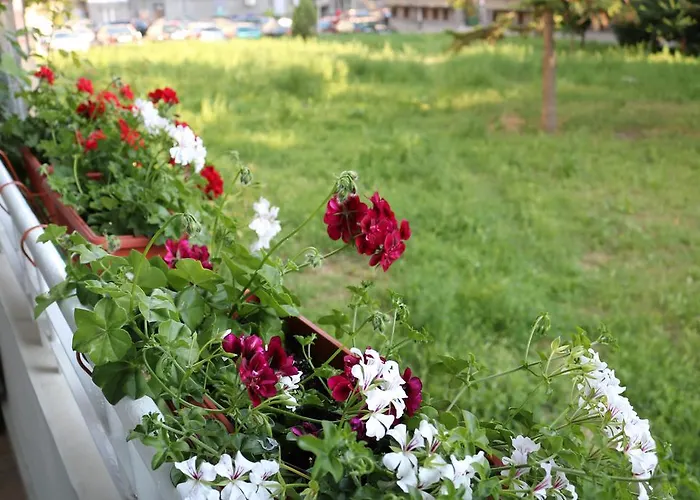 Apartment - Lets4holiday